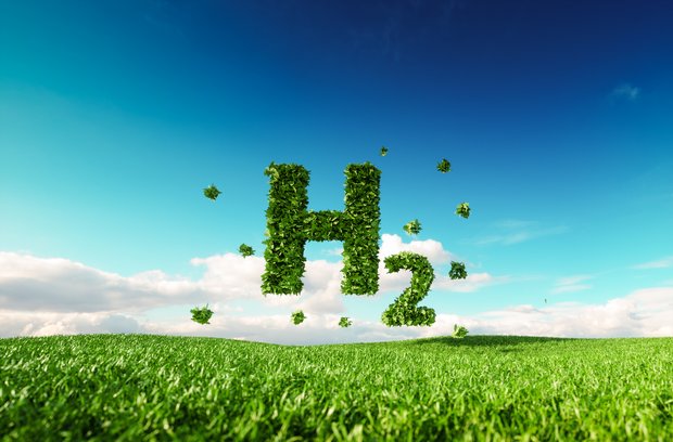 H2-Symbol bestehend aus Blättern über einer grünen Wiese vor blauem Himmel