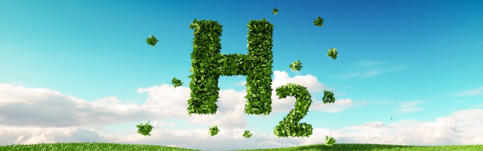 H2-Symbol bestehend aus Blättern über einer grünen Wiese vor blauem Himmel